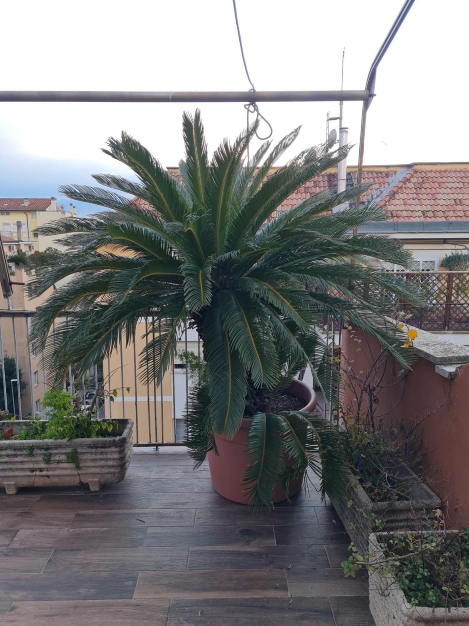 Apartamento La Terrazza Su *